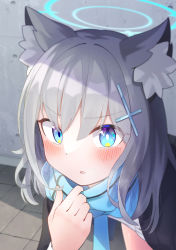 Rule 34 | 1girl, absurdres, animal ear fluff, animal ears, blue archive, blue eyes, blue necktie, blue scarf, blush, calciumin, hair ornament, halo, highres, looking at viewer, mismatched pupils, necktie, open mouth, scarf, school uniform, shiroko (blue archive), short hair, solo, x hair ornament