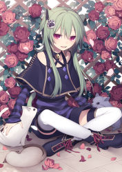 Rule 34 | 1boy, 1girl, androgynous, animal ears, bell, capelet, cat, cat ears, cat tail, collar, flower, green hair, hair ornament, hijiri (resetter), indian style, long hair, looking at viewer, male focus, neck bell, open mouth, original, pantyhose, pantyhose under shorts, paw print, petals, petting, red eyes, red flower, red rose, rose, shirt, shorts, sitting, slit pupils, smile, solo, striped clothes, striped shirt, tail, thighhighs, trance (hijiri), trap, two-tone stripes, white pantyhose, white thighhighs