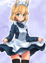 Rule 34 | 1girl, alternate costume, amelie planchard, animal ears, aohashi ame, apron, black thighhighs, blonde hair, blue dress, blue panties, blush, clothes lift, commentary, dress, dress lift, enmaided, gluteal fold, green eyes, lifted by self, light blush, long sleeves, looking at viewer, maid, maid apron, maid headdress, medium dress, panties, rabbit girl, short hair, skindentation, solo, standing, strike witches, thighhighs, turtleneck, underwear, white apron, world witches series