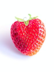 Rule 34 | commentary request, food, food focus, fruit, highres, huge filesize, making-of available, no humans, original, photorealistic, realistic, seed, shadow, strawberry, white background, yakkunn