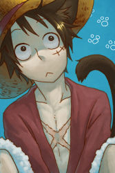 Rule 34 | 1boy, animal ears, blue background, brown hair, cat boy, cat ears, cat tail, image sample, inukoro (spa), male focus, monkey d. luffy, one piece, open clothes, open shirt, paw print, pixiv sample, red shirt, resized, scar, shirt, simple background, sitting, solo, tail