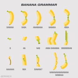 Rule 34 | absurdres, banana, chart, english text, erraineon, food, food focus, fruit, grey background, highres, no humans, original, simple background, still life, twitter username
