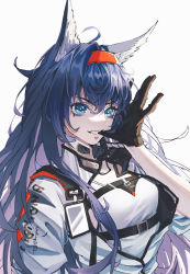 Rule 34 | 1girl, ahoge, animal ears, arknights, black gloves, blaze (arknights), blue eyes, blue hair, cat ears, chinese commentary, commentary request, earpiece, gloves, hairband, highres, id card, long hair, looking at viewer, louying061, mouth pull, red hairband, shirt, simple background, solo, teeth, upper body, white background, white shirt