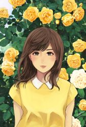 Rule 34 | 1girl, closed mouth, collared shirt, commentary request, flower, green eyes, highres, leaf, looking at viewer, munakata (hisahige), peter pan collar, rose, shirt, short sleeves, solo, yellow flower, yellow rose, yellow shirt