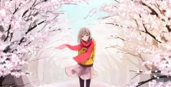 Rule 34 | 1girl, arms behind back, black thighhighs, bnsc00, brown eyes, brown hair, cherry blossoms, coat, eyebrows hidden by hair, looking at viewer, original, road, scarf, short hair, skirt, solo, standing, street, thighhighs, tree, winter clothes