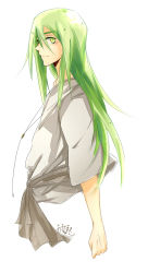Rule 34 | 1boy, bunnyhana, enkidu (fate), fate/strange fake, fate (series), green eyes, green hair, highres, jewelry, long hair, male focus, matching hair/eyes, necklace, robe, simple background, solo, white background