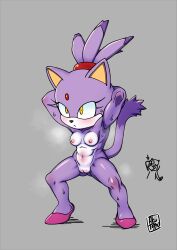Rule 34 | absurdres, aku tojyo, blaze the cat, breasts, cat, cleft of venus, highres, medium breasts, nude, pussy, solo focus, sonic (series), sweat, uncensored