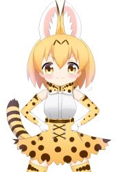 Rule 34 | &gt;:), 10s, 1girl, animal ears, blonde hair, blush, bow, bowtie, breasts, brown eyes, closed mouth, commentary request, cowboy shot, elbow gloves, extra ears, gloves, hair between eyes, hands on own hips, high-waist skirt, highres, kemono friends, medium breasts, print bow, print bowtie, print gloves, print neckwear, print skirt, print thighhighs, serval (kemono friends), serval print, serval tail, shin01571, shirt, simple background, skirt, sleeveless, sleeveless shirt, smile, smug, solo, striped tail, tail, thighhighs, v-shaped eyebrows, white background, white shirt