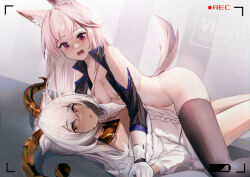 Rule 34 | 2girls, animal ear fluff, animal ears, aran sweater, arknights, beeswax (arknights), beeswax (weisser sand) (arknights), black thighhighs, blush, breasts, cable knit, cardigan (arknights), dark-skinned female, dark skin, detached collar, detached sleeves, dog ears, dog girl, dog tail, dress, embarrassed, gloves, goat ears, goat girl, goat horns, holding hands, horns, krirk, long hair, long sleeves, looking at viewer, lying, medium breasts, multiple girls, nipples, nude, off-shoulder dress, off-shoulder sweater, off shoulder, official alternate costume, on back, parted lips, pink hair, purple eyes, recording, sweater, sweater dress, tail, thighhighs, very long hair, white dress, white gloves, white hair, white sweater, yuri