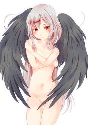 Rule 34 | 1girl, absurdres, angel, black wings, blush, convenient censoring, covering privates, covering breasts, flat chest, highres, navel, nude, original, red eyes, silver hair, tagme, wings