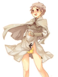 Rule 34 | 1boy, axis powers hetalia, bad id, bad pixiv id, bird, blush, cape, censored, chick, cross, iron cross, male focus, no panties, novelty censor, open mouth, prussia (hetalia), red eyes, short hair, simple background, solo, tobi (one), white background