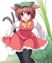 Rule 34 | 1girl, :d, animal ears, black pantyhose, blush, bow, bowtie, brown hair, cat ears, cat girl, cat tail, chen, clothes lift, cowboy shot, curtsey, dress, dress lift, earrings, fang, hat, jewelry, leaning forward, liya, long sleeves, looking at viewer, mob cap, multiple tails, nekomata, one-hour drawing challenge, open mouth, pantyhose, mob cap, red dress, red eyes, single earring, smile, solo, tail, touhou, two tails, yellow bow, yellow bowtie