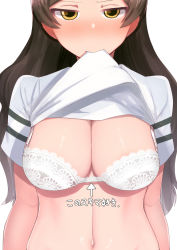 Rule 34 | 1girl, black hair, blush, bra, breasts, cleavage, clothes lift, ear blush, full-face blush, idolmaster, idolmaster million live!, kitazawa shiho, kurozako, lace, lace-trimmed bra, lace trim, lifting own clothes, long hair, looking at viewer, medium breasts, midriff, mouth hold, navel, shirt, shirt hold, shirt lift, short sleeves, simple background, solo, underwear, upper body, white bra, white shirt, yellow eyes