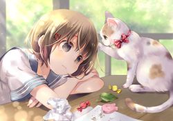 Rule 34 | 1girl, blush, candy, cat, collarbone, commentary request, food, frown, hair ornament, hairclip, kuga tsukasa, original, paper, red ribbon, ribbon, shirt, short sleeves, sitting, solo, table, tearing up, white shirt