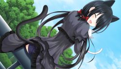 Rule 34 | 1girl, animal, animal ears, ass, black dress, black ears, black hair, black panties, black skirt, black tail, cat, cat ears, cat tail, clothes lift, cloud, date a live, dress, closed eyes, game cg, hair ribbon, long hair, looking at viewer, looking back, official art, open mouth, panties, pantyshot, park, ribbon, sitting, skirt, skirt lift, sky, smile, solo, tail, tokisaki kurumi, tree, tsunako, twintails, underwear, white cat