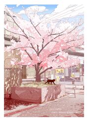 Rule 34 | black cat, blue sky, building, car, cat, cherry blossoms, city, cloud, day, matsuyama kojika, motor vehicle, original, outdoors, scenery, sky, traffic cone, urban