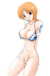 Rule 34 | :p, bikini, blush, breasts, cameltoe, cleavage, nami (one piece), nipple slip, nipples, one piece, pubic hair, swimsuit, tongue, tongue out