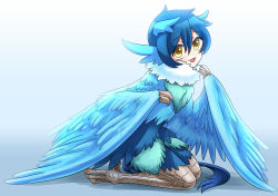 Rule 34 | 1girl, 999shark sushi, animal ears, animal feet, bad id, bad pixiv id, bird ears, bird legs, blue feathers, blue hair, blue wings, claws, commentary request, feathered wings, feathers, hair between eyes, harpy, highres, monster girl, neck ruff, open mouth, original, simple background, sitting, solo, talons, wariza, white background, winged arms, wings, yellow eyes