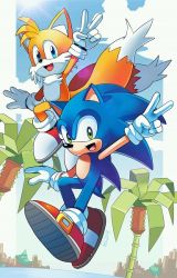 Rule 34 | 2boys, artist request, blue eyes, blue sky, cloud, day, friends, furry, furry male, green eyes, green hill zone, landscape, male focus, multiple boys, palm tree, sky, smile, sonic (series), sonic the hedgehog, sunlight, tails (sonic), tree, v
