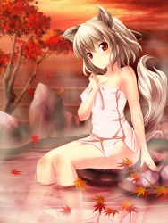 Rule 34 | 1girl, animal ears, autumn leaves, bare shoulders, blush, female focus, fujino (yoshi9798174), highres, hot spring, inubashiri momiji, leaf, looking at viewer, maple leaf, naked towel, onsen, red eyes, short hair, silver hair, sitting, solo, tail, touhou, towel, tree, water, wolf ears, wolf tail