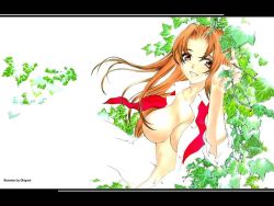 Rule 34 | breasts, large breasts, long hair, natsume aya, smile, tenjou tenge