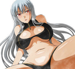 Rule 34 | 00s, 1girl, blush, breasts, cleavage, cleavage cutout, clothing cutout, groin, large breasts, long hair, navel, red eyes, sand, selvaria bles, senjou no valkyria, senjou no valkyria (series), senjou no valkyria 1, silver hair, simple background, solo, sweat, swimsuit, taguchi kenji (omaep), zipper