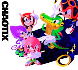 Rule 34 | 5boys, absurdres, animal nose, arthropod boy, black eyes, black footwear, charmy bee, closed mouth, commentary, espio the chameleon, furry, furry male, gloves, green footwear, highres, knuckles&#039; chaotix, knuckles the echidna, male focus, mighty the armadillo, multiple boys, one eye closed, open mouth, red footwear, reptile boy, shoes, simple background, smile, sonic (series), sonic the hedgehog (classic), sparkle, standing, tail, tokiwa757, tongue, tongue out, vector the crocodile, white background, white gloves