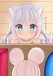 Rule 34 | 2girls, :&lt;, animal ears, blue eyes, cat ears, cat girl, cat tail, closed mouth, highres, long hair, looking at viewer, mini person, minigirl, mizukoshi (marumi), mouse ears, mouse girl, multiple girls, off-shoulder shirt, off shoulder, original, shirt, staring, sweatdrop, tail, trembling, white hair, white shirt