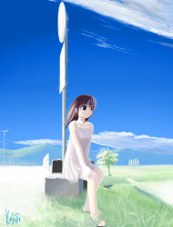 Rule 34 | 1girl, brown hair, cloud, day, dress, grass, kajiji, morning, road sign, sign, sky, solo, suitcase, wind
