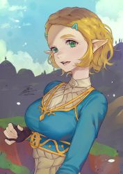 Rule 34 | 1girl, black gloves, blonde hair, blue shirt, blue sky, commentary request, day, fadingz, gloves, green eyes, hair ornament, hairclip, highres, long sleeves, mountain, nintendo, outdoors, parted lips, pointy ears, princess zelda, shirt, short hair, signature, sky, solo, the legend of zelda, the legend of zelda: breath of the wild, the legend of zelda: tears of the kingdom, upper body