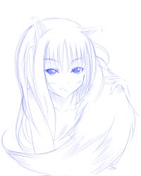 Rule 34 | 00s, 1girl, animal ears, blue theme, holo, monochrome, sketch, solo, spice and wolf, tail, wolf ears