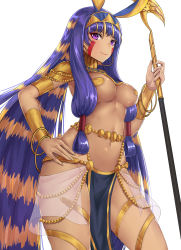 Rule 34 | 1girl, animal ears, blush, breasts, chitu hefeng zhong, closed mouth, commentary request, dark-skinned female, dark skin, earrings, egyptian, egyptian clothes, facial mark, fate/grand order, fate (series), groin, hair between eyes, hand on own hip, highres, holding, holding staff, hoop earrings, jackal ears, jewelry, long hair, looking at viewer, medium breasts, nitocris (fate), nitocris (third ascension) (fate), pelvic curtain, purple eyes, purple hair, revealing clothes, see-through, sidelocks, smile, solo, staff, very long hair