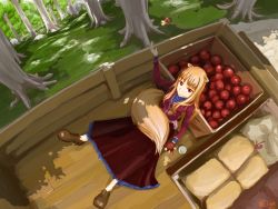Rule 34 | animal ears, apple, brown hair, chitose shuusui, food, forest, from above, fruit, holo, long hair, nature, red eyes, smile, solo, spice and wolf, tail, wagon, wolf ears, wolf tail