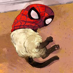 Rule 34 | absurdres, animal, animal focus, artist name, brown fur, cat, cat tail, catwheezie, commentary, covered face, english commentary, from above, full body, highres, lying, marvel, mask, no humans, on floor, original, red mask, solo, spider-man, spider-man (series), spider web print, tail, white fur