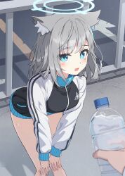 Rule 34 | 1girl, absurdres, animal ear fluff, animal ears, black jacket, blue archive, blue eyes, blue halo, blush, bottle, breasts, commentary, grey hair, halo, hands on own knees, highres, holding, holding bottle, jacket, leaning forward, long sleeves, looking at viewer, medium breasts, medium hair, mismatched pupils, multicolored clothes, multicolored jacket, open mouth, pov, pov hands, seero, shiroko (blue archive), solo, sweat, track jacket, two-tone jacket, water bottle, white jacket, wolf ears