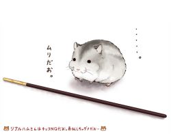 Rule 34 | animal, food, food focus, full body, hamster, nim, nim (sivo), no humans, original, pocky, simple background, solo, text focus, translation request, whiskers, white background