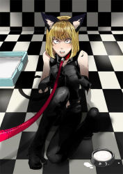 Rule 34 | 1boy, animal ears, blonde hair, cat boy, cat ears, collar, death note, full body, indoors, leash, leather, leather pants, male focus, mello (death note), pants, slave, solo
