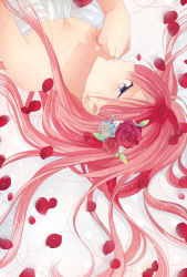 Rule 34 | 1girl, bad id, bad pixiv id, bshi edayo, daisy, flower, hair flower, hair ornament, highres, just be friends (vocaloid), long hair, megurine luka, petals, pink hair, rose, solo, string, string of fate, vocaloid