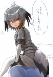 Rule 34 | 10s, 1girl, ball, bird tail, black gloves, black hair, blush, collared shirt, exercise ball, fingerless gloves, from side, gloves, green eyes, grey hair, grey shirt, grey shorts, head wings, highres, kemono friends, long hair, looking at viewer, low ponytail, multicolored hair, necktie, open mouth, pentagon (railgun ky1206), see-through, shirt, shoebill (kemono friends), short sleeves, shorts, side ponytail, simple background, sitting, solo, tail, translated, white background, white necktie, wings