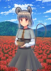 Rule 34 | 1girl, animal ears, bad id, bad pixiv id, basket, capelet, flower, grey hair, highres, midriff peek, mikomiko (mikomikosu), mouse (animal), mouse ears, mouse tail, nazrin, red eyes, solo, spider lily, tail, touhou