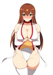 Rule 34 | 1girl, absurdres, breasts, dead or alive, highres, kasumi (doa), large breasts, long hair, solo, white background