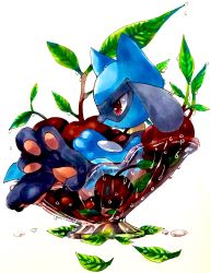 Rule 34 | 1boy, animal ears, animal hands, black fur, blue fur, body fur, bowl, cherry, child, closed mouth, creatures (company), dew drop, feet, food, from side, fruit, full body, furry, furry male, game freak, gen 4 pokemon, highres, holding, holding food, in food, leaf, male focus, marker (medium), mofuo, nintendo, oversized food, oversized object, pawpads, pokemon, pokemon (creature), profile, red eyes, riolu, sideways mouth, simple background, sitting, snout, solo, tail, traditional media, transparent, two-tone fur, water drop, white background, wolf boy, wolf ears, wolf tail
