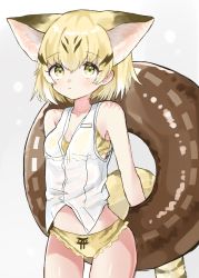 Rule 34 | 1girl, :&lt;, animal ear fluff, animal ears, bare arms, bare shoulders, bikini, bikini under clothes, black hair, blonde hair, blush, cat ears, cat girl, cat tail, closed mouth, commentary request, cowboy shot, grey background, hair between eyes, highres, innertube, kemono friends, megumi 222, multicolored hair, sand cat (kemono friends), shirt, sleeveless, sleeveless shirt, solo, standing, swim ring, swimsuit, tail, two-tone hair, white shirt, yellow bikini, yellow eyes