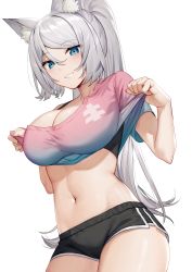 Rule 34 | 1girl, absurdres, animal ear fluff, animal ears, black bra, black shorts, blue eyes, bra, breasts, cameltoe, cat ears, cleavage, clothes lift, commentary, cowboy shot, crop top, dolphin shorts, gradient clothes, grin, hands up, highres, illian-san, large breasts, lifting own clothes, long hair, looking at viewer, meridian project, midriff, mizuki (vtuber), nail polish, navel, off shoulder, pink shirt, ponytail, shirt, shirt lift, short shorts, short sleeves, shorts, smile, solo, stomach, thighs, underwear, virtual youtuber, white hair