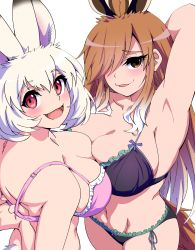 Rule 34 | 2girls, animal ears, arm up, armpits, arms behind head, black bra, black panties, blue bow, blush, bow, bra, breast press, breasts, brown eyes, brown hair, cleavage, cleft of venus, collarbone, european hare (kemono friends), extra ears, eyelashes, female focus, frills, from behind, green frills, hair over one eye, highres, kemono friends, large breasts, long hair, looking at viewer, looking back, mamiyama, matching hair/eyes, midriff, mountain hare (kemono friends), multicolored hair, multiple girls, naughty face, navel, open mouth, panties, pink bra, rabbit ears, rabbit girl, rabbit tail, short hair, simple background, tail, thighs, tongue, underwear, underwear only, undressing, upper body, white background, white frills, white hair