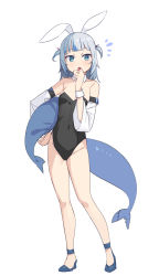 Rule 34 | 1girl, :o, animal ears, bare shoulders, black leotard, blue eyes, blunt bangs, breasts, commentary, detached collar, detached sleeves, fang, fins, fish tail, full body, gawr gura, hand to own mouth, highres, hololive, hololive english, leotard, looking at viewer, multicolored hair, open mouth, playboy bunny, rabbit ears, saiste, shark tail, simple background, small breasts, solo, streaked hair, symbol-only commentary, tail, two-tone hair, two side up, virtual youtuber, white background, wide sleeves, wristband