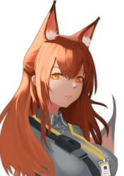 Rule 34 | 1girl, absurdres, animal ear fluff, animal ears, arknights, breasts, closed mouth, collared shirt, fox ears, franka (arknights), grey shirt, hair between eyes, highres, lanyard, large breasts, lips, long hair, looking at viewer, name tag, orange eyes, orange hair, shirt, shoulder strap, simple background, solo, upper body, white background, wing collar, yakupan