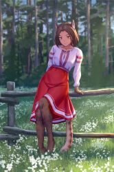 1girl animal_ears blurry blurry_background body_fur braid brown_hair cat_ears cat_girl cat_tail depth_of_field fence flower full_body grass highres iskanderednaksi looking_at_viewer m&#039;rissi_(skyrim) medium_hair orange_eyes original outdoors red_skirt scenery shirt single_braid sitting sitting_on_fence skirt solo tail tree white_flower wooden_fence