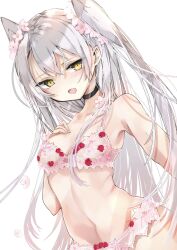 Rule 34 | 1girl, alternate costume, amatsukaze (kancolle), black choker, blush, bra, breasts, cherry print, chigasaki yukari, choker, fang, flower, food print, hair between eyes, hair flower, hair ornament, hand on own chest, highres, kantai collection, lingerie, lips, long hair, looking at viewer, open mouth, panties, pink bra, pink flower, pink panties, revision, simple background, small breasts, solo, two side up, underwear, underwear only, white background, white hair, yellow eyes