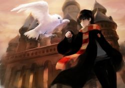 Rule 34 | 1boy, ask (askzy), bad id, bad pixiv id, bird, brown eyes, brown hair, castle, glasses, harry potter, harry potter (series), hedwig, hogwarts, hogwarts school uniform, male focus, owl, pet, scarf, school uniform, solo, striped clothes, striped scarf, wizarding world